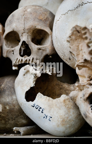 Teschi di Khmer rossi vittime del regime a Choeung Ek, Killing Fields. Phnom Penh Cambogia. Foto Stock