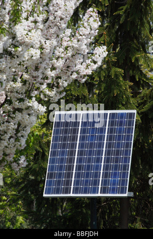 Il pannello solare ENERGY One energia domestica energia verde sullo sfondo del giardino foto in primo piano in Ohio Stati Uniti verticale ad alta risoluzione Foto Stock