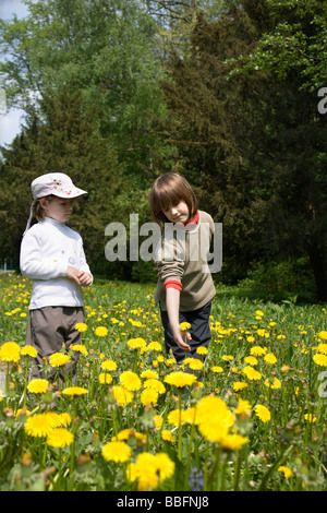 I bambini sulla molla di prato Foto Stock