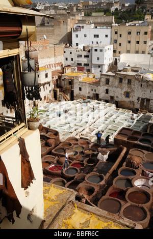 Africa, Nord Africa, Marocco, Fes, Fès el Bali, vecchio Fes, Medina, Città Vecchia medievale di concerie tradizionali, la Conceria Chouara Foto Stock