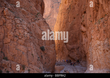 Africa, Nord Africa, Marocco, Atlas Regione, Todra Gorge, Turisti Foto Stock