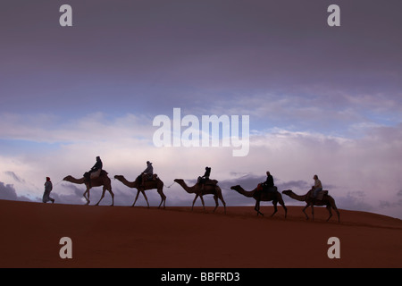 Africa, Nord Africa, Marocco deserto del Sahara, Merzouga Erg Chebbi, turisti cavalcare cammelli, Sunrise Foto Stock