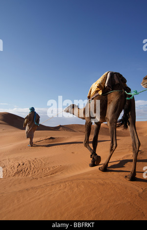 Africa, Nord Africa, Marocco deserto del Sahara, Merzouga Erg Chebbi, Berber Tribesman cammello leader Foto Stock