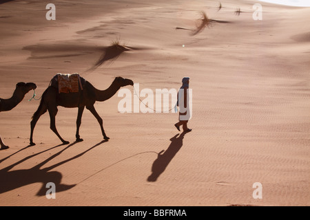 Africa, Nord Africa, Marocco deserto del Sahara, Merzouga Erg Chebbi, Berber Tribesman cammelli leader Foto Stock