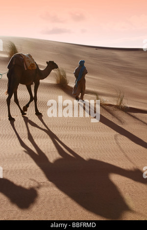 Africa, Nord Africa, Marocco deserto del Sahara, Merzouga Erg Chebbi, Berber Tribesman cammello leader Foto Stock
