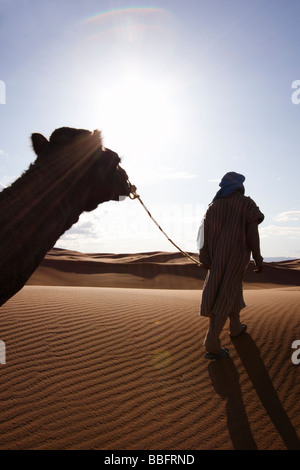 Africa, Nord Africa, Marocco deserto del Sahara, Merzouga Erg Chebbi, Berber Tribesman cammello leader Foto Stock