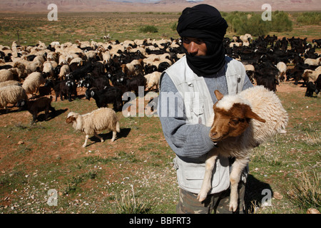 Africa, Nord Africa, Marocco, Alto Atlante, Dades Valley, Pastore Azienda ovini Foto Stock