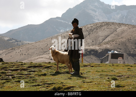 Africa, Nord Africa, Marocco, Alto Atlante, campi terrazzati, Tizi n Tichka, Pastore, pecore e il suo lamb Foto Stock