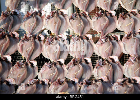 Sale di pesce di essiccazione, Cheung Chau Isola Foto Stock