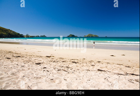 Matauri Bay Regione Whangaroa Northland Isola del nord della Nuova Zelanda Foto Stock