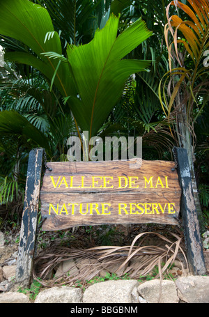 Vallee de Mai, unica riserva naturale dell'Isola di Praslin con il Coco de Mer, parco nazionale di Praslin, Isola di Praslin, Seicelle, Foto Stock