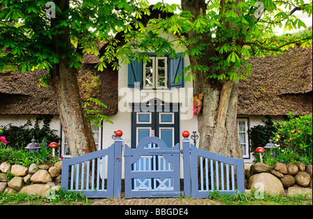 Romantica casa Frisone in Keitum, isola di Sylt, Schleswig-Holstein, Germania, Europa Foto Stock