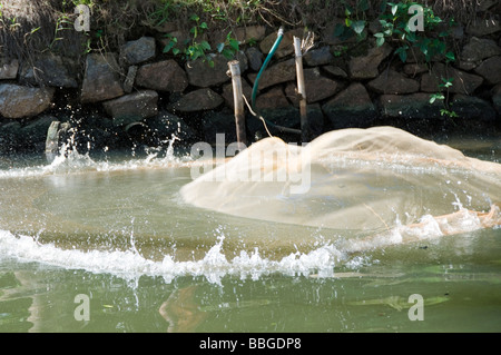 La pesca con un cast net o gettare net nelle backwaters del Kerala, India Foto Stock