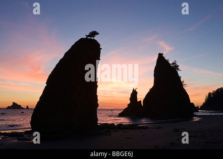 Rialto Beach, nella costa occidentale della Penisola Olimpica, il Parco Nazionale di Olympic, Washington, Stati Uniti d'America Foto Stock