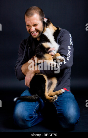 Pastore australiano cucciolo mordere in un uomo l orecchio Foto Stock