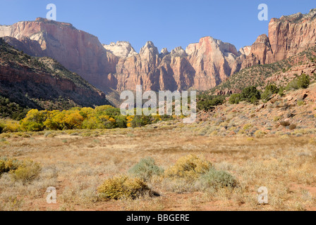 Formazione di roccia, torri della Vergine, il Parco Nazionale di Zion, Utah, Stati Uniti d'America Foto Stock