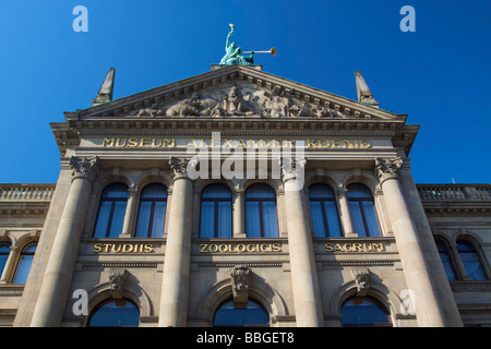 Alexander Koenig Museo Zoologico, Museo di ricerca, Bonn, Renania settentrionale-Vestfalia, Germania, Europa Foto Stock