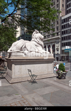 Uno dei due maestosi leoni scolpiti nella pietra a guardia della Quinta Avenue ingresso alla Biblioteca Pubblica di New York, Manhattan New York City Foto Stock