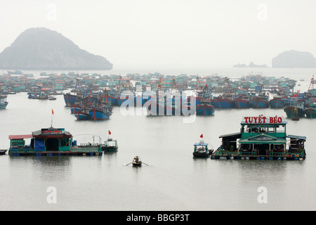 Il vietnamita [villaggio galleggiante], 'Cat Ba' town Harbour, [Halong Bay], Vietnam Foto Stock