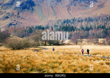 Graticcio in legno nel percorso di Borrowdale Valley Cumbria Inghilterra England Foto Stock