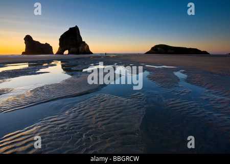Increspata sabbia e formazioni rocciose a Wharariki Beach Nelson Isola del Sud della Nuova Zelanda Foto Stock