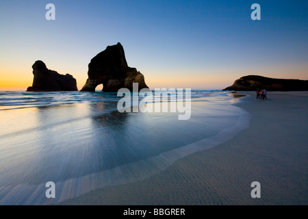 Pile di mare sulla spiaggia Wharariki Nelson Isola del Sud della Nuova Zelanda Foto Stock