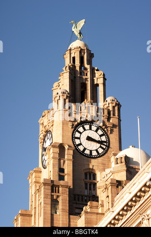 Liverpool;il fegato uccello guardando al mare sulla parte superiore dell'edificio di fegato; Foto Stock