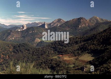 Spagna;Picos d'Europa; dal colle di San Glorio.1609m. Cantabria provincia. Foto Stock