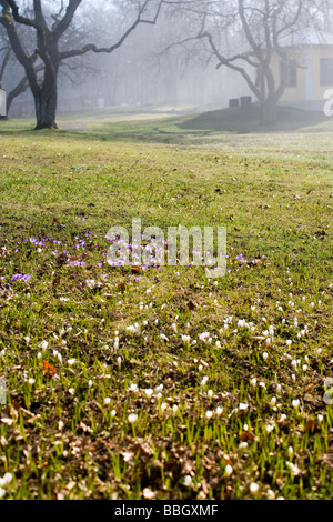 Taxinge Slott (Svezia) Foto Stock