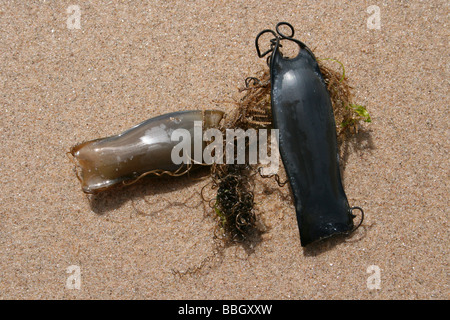 Due Mermaid portafogli dell:l'uovo casi di una minore Gattuccio Scyliorhinus canicula a New Brighton, il Wirral, Merseyside, Regno Unito Foto Stock