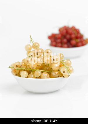 Ribes rosso e bianco isolato su sfondo bianco Foto Stock