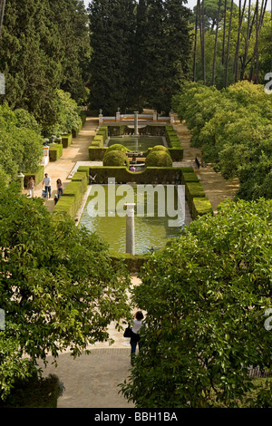 Jardines de Los Reales Alcázares Sevilla Andalucía España giardini di Los Reales Alcazares Siviglia Andalusia Spagna Foto Stock