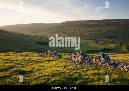 Un vecchio dystone parete e la vista lungo Littondale, in Yorkshire Dales, da sopra il villaggio di Arncliffe. Foto Stock