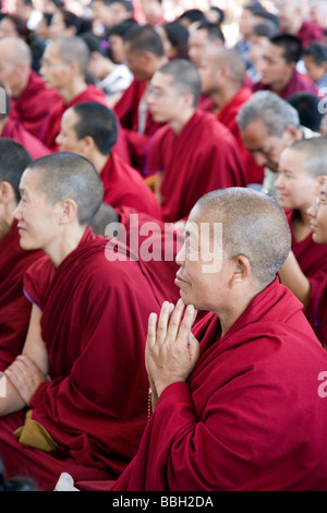 Il Tibetano monaci e monache di ascolto il Dalai Lama e la sua dottrina. McLeod Ganj. Dharamsala. Himachal Pradesh. India Foto Stock