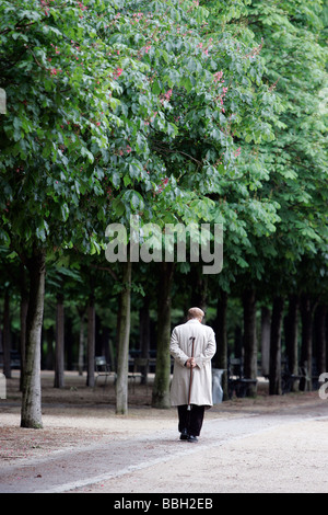 Uomo solitario passeggiate nel Jardin de Luxembourg, Parigi, Francia Foto Stock