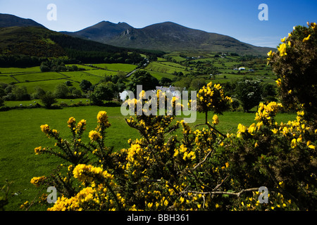 Trassey Road, Mourne Mountains, County Down, Irlanda del Nord Foto Stock