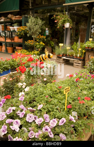 Fiori e piante sul display a Marche aux Fleurs sull'Ile de la Cite a Parigi Francia Foto Stock