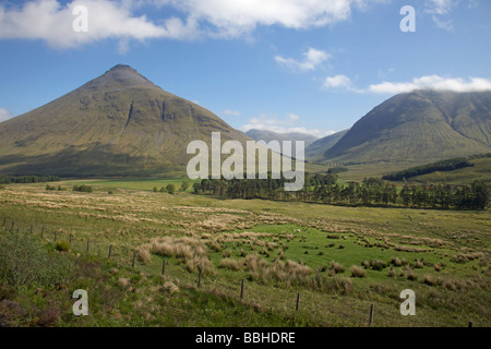 Molla in Glen Auch vicino a Tyndrum, Scozia Foto Stock