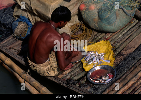 India, Bengala Occidentale, Sunderbans, Delta del Gange, pescatore su una barca Foto Stock