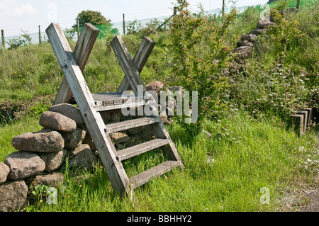 Stile su un muro di pietra Foto Stock