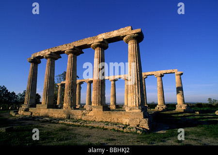 Italia, Basilicata, Metaponto, Tavole Palatine, tempio greco di era Foto Stock