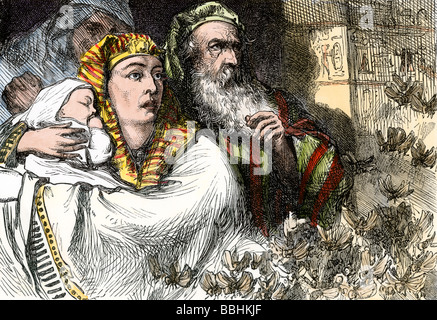 Piaga di locuste nell antico Egitto nella storia di Mosè. Colorate a mano la xilografia Foto Stock