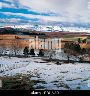 Inverno nelle colline del sud nei pressi di Drakensberg UNDERBERG Foto Stock