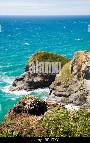 Carnewas e Bedruthan Steps in Cornovaglia, England Regno Unito Foto Stock