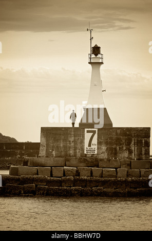 Un faro a luce rotante guardia alla fine del frangionde che designa l'ingresso al Victoria, B.C. porto esterno. Foto Stock