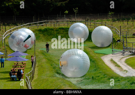 Zorb, zorbing, sphereing, Dorset, Gran Bretagna, Regno Unito Foto Stock