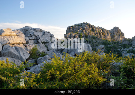 Calcare formazioni rocciose di El Torcal riserva naturale Andalusia Spagna Foto Stock
