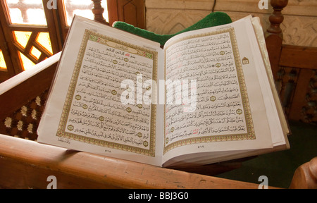Pagine del Corano, il libro sacro dei musulmani Foto Stock