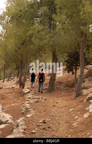 Israele Southern Hebron trekking in montagna nella foresta Yatir Foto Stock