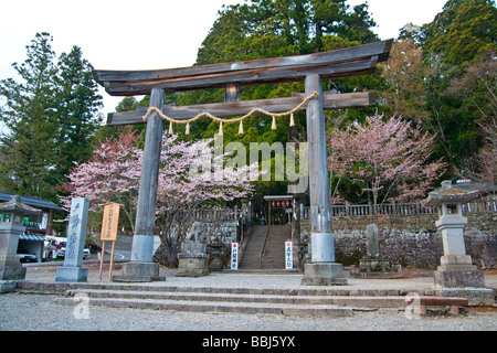 Gateway per Chusha Santuario, Togakushi, Nagano, Giappone Foto Stock